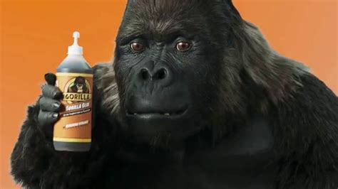 gorilla glue commercial|Gorilla Glue TV Spot, Tug of War